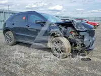 2024 Cadillac XT4 фото