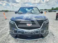 2024 Cadillac XT6 photo
