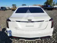 2024 Cadillac CT5 фото