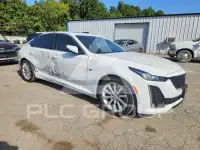 2024 Cadillac CT5 photo