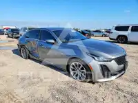 2024 Cadillac CT5 фото