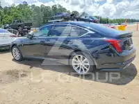 2024 Cadillac CT5 фото