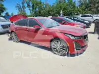 2024 Cadillac CT5 фото