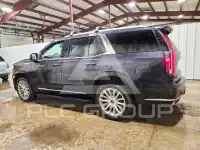 2024 Cadillac ESCALADE фото