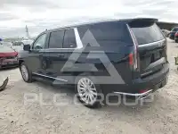 2024 Cadillac ESCALADE photo