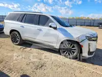2024 Cadillac ESCALADE фото