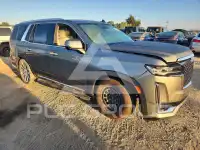 2024 Cadillac ESCALADE фото