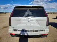 2024 Cadillac ESCALADE фото