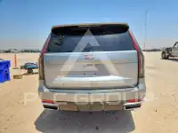2024 Cadillac ESCALADE photo