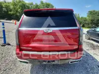 2024 Cadillac ESCALADE фото