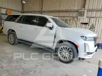 2024 Cadillac ESCALADE фото