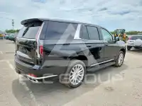 2024 Cadillac ESCALADE фото