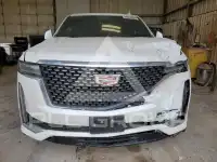 2024 Cadillac ESCALADE фото