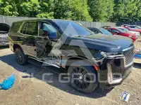2024 Cadillac ESCALADE фото