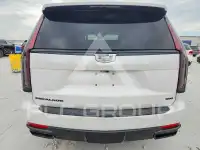 2024 Cadillac ESCALADE фото