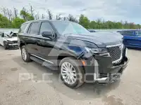 2024 Cadillac ESCALADE фото