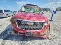 2024 Cadillac ESCALADE фото
