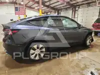 2024 Tesla Model Y photo