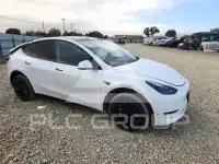 2024 Tesla Model Y photo