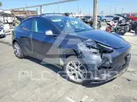 2024 Tesla Model Y фото