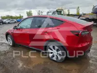 2024 Tesla Model Y photo