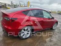2024 Tesla Model Y photo