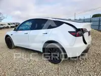 2024 Tesla Model Y photo