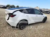 2024 Tesla Model Y photo
