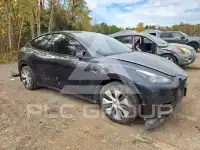2024 Tesla Model Y фото
