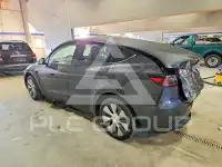 2024 Tesla Model Y фото