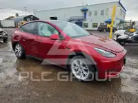 2024 Tesla Model Y photo