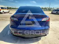 2024 Tesla Model Y photo