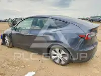2024 Tesla Model Y photo