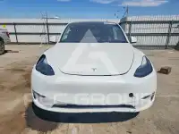 2024 Tesla Model Y photo
