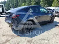 2024 Tesla Model Y photo