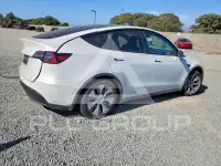 2024 Tesla Model Y photo