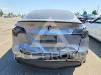 2024 Tesla Model Y photo