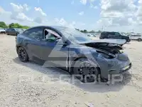 2024 Tesla Model Y photo