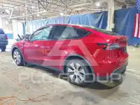 2024 Tesla Model Y photo