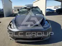 2024 Tesla Model Y photo