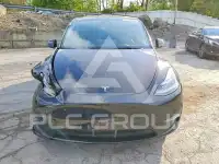 2024 Tesla Model Y фото