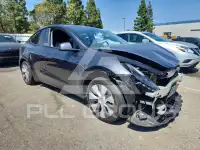 2024 Tesla Model Y photo
