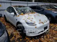 2024 Tesla Model Y фото