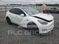 2024 Tesla Model Y photo