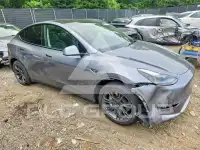 2024 Tesla Model Y photo