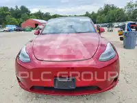 2024 Tesla Model Y фото