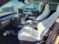 2024 Tesla Model Y photo