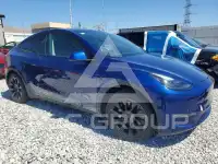 2024 Tesla Model Y photo