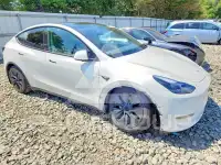 2024 Tesla Model Y фото