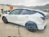 2024 Tesla Model Y фото